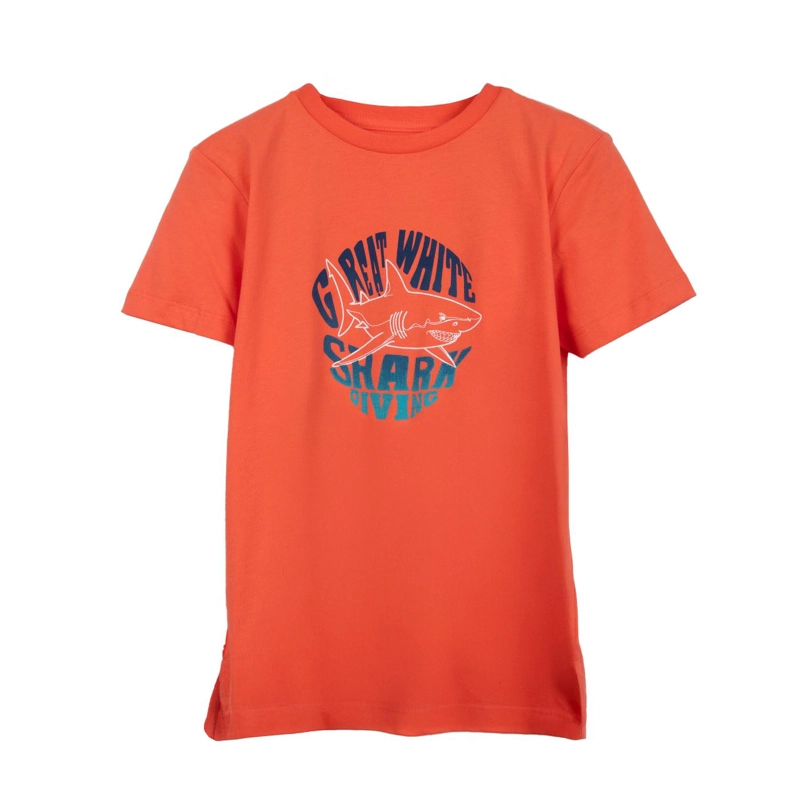 POLERA NIÑO MANGA CORTA ESTAMPADO TIBURON CORAL PILLIN - 1