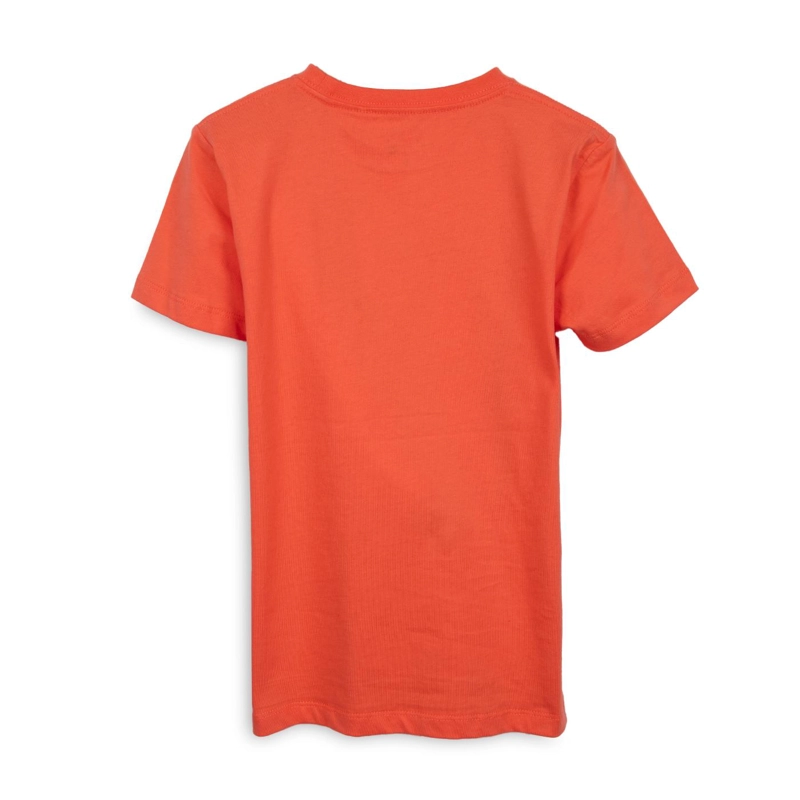 POLERA NIÑO MANGA CORTA ESTAMPADO TIBURON CORAL PILLIN - 2