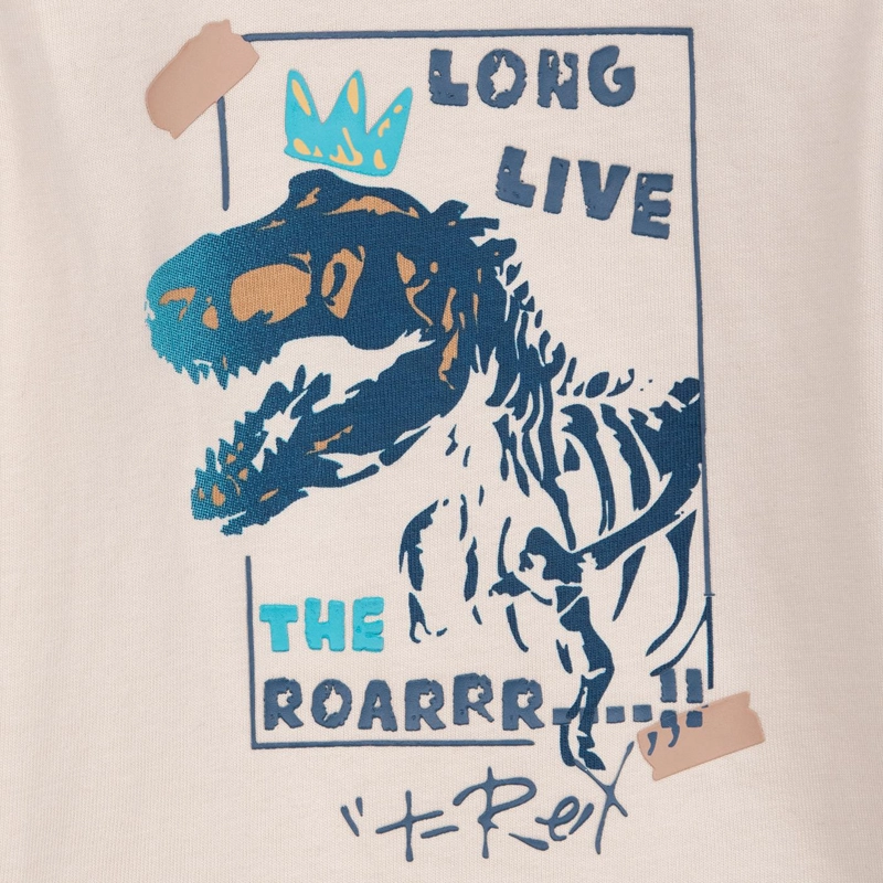 POLERA BEBE NIÑO MANGA LARGA ESTAMPADO DINO ARENA PILLIN - 3