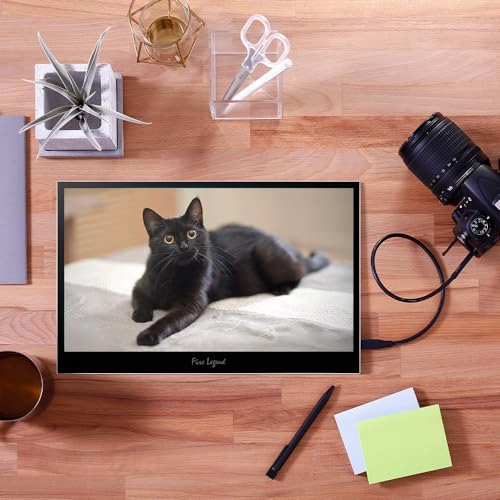 ACER MONITOR PORTATIL FHD IPS DE 156 PULGADAS SOPORTE DE SINCRONIZACION ADAPTABLE COMPATIBLE - 6