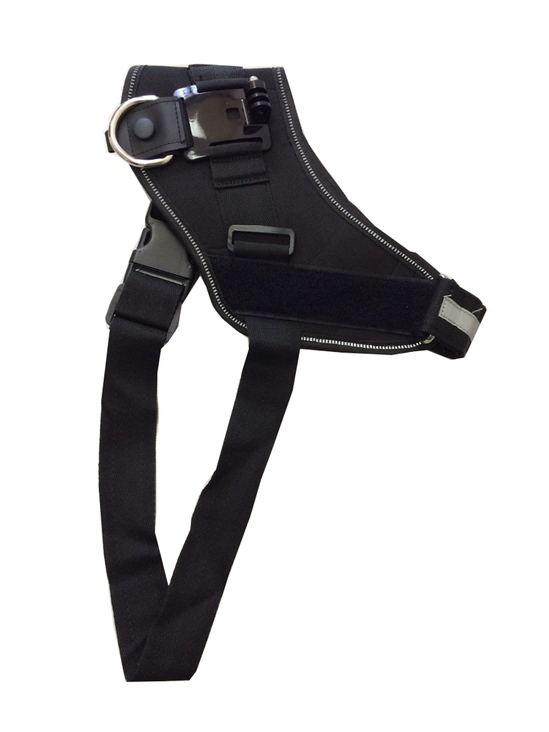 CHESTY PERRO PARA GOPRO - 2