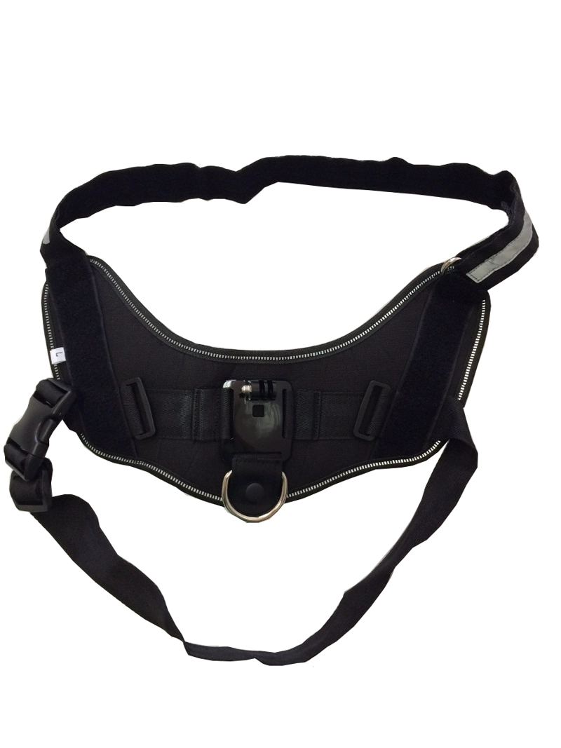 CHESTY PERRO PARA GOPRO - 3