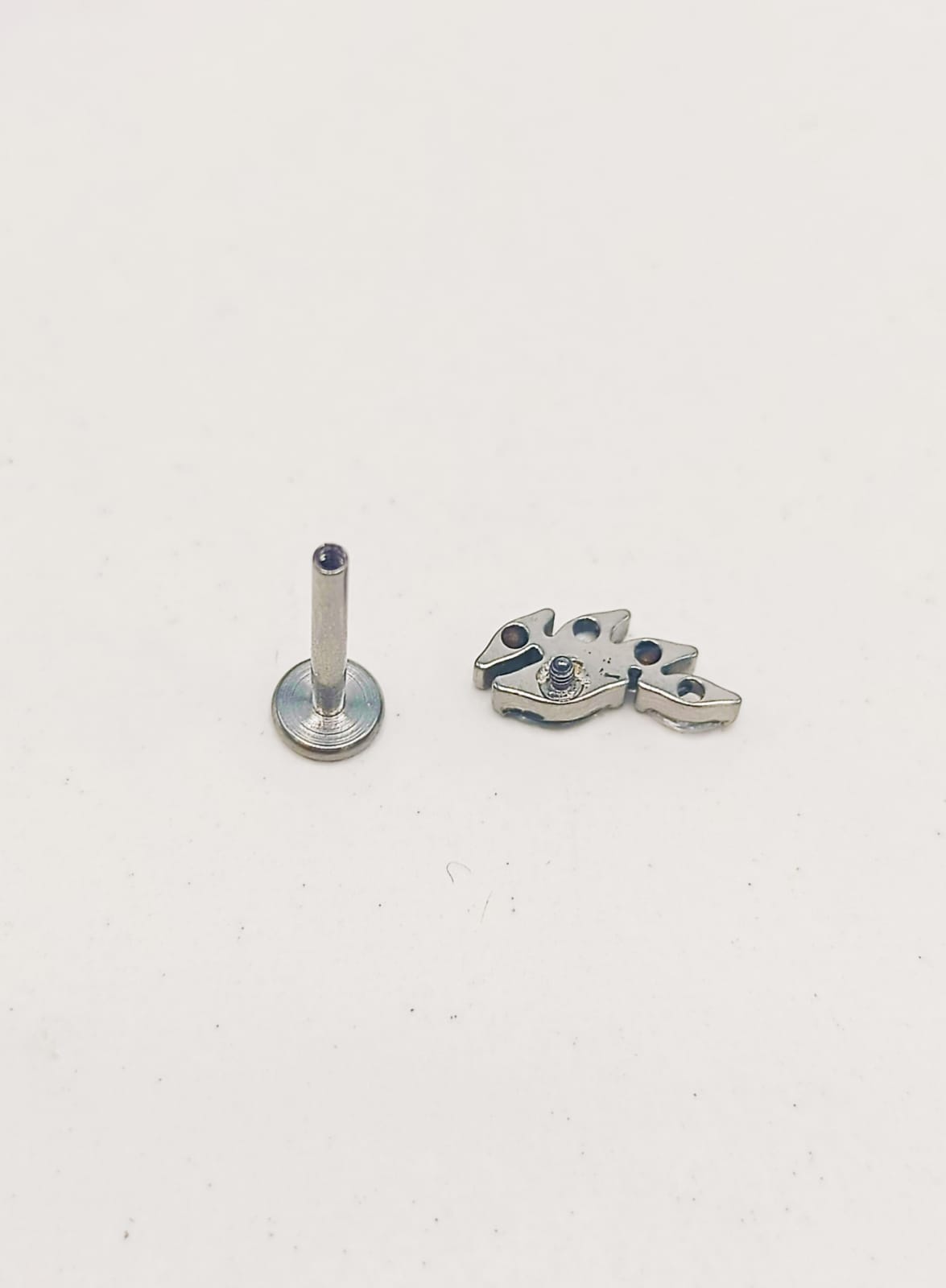 PIERCING LABRET ZIRCONIA ASTM F136 G23 ACERO DE TITANIO ALAS - 8