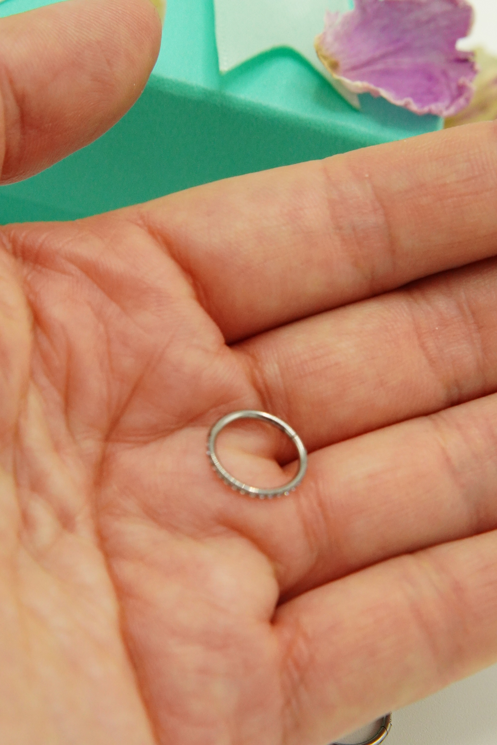ARGOLLAS HUGGIES 8MM 16G TITANIO F136 CIRCONIO - 8