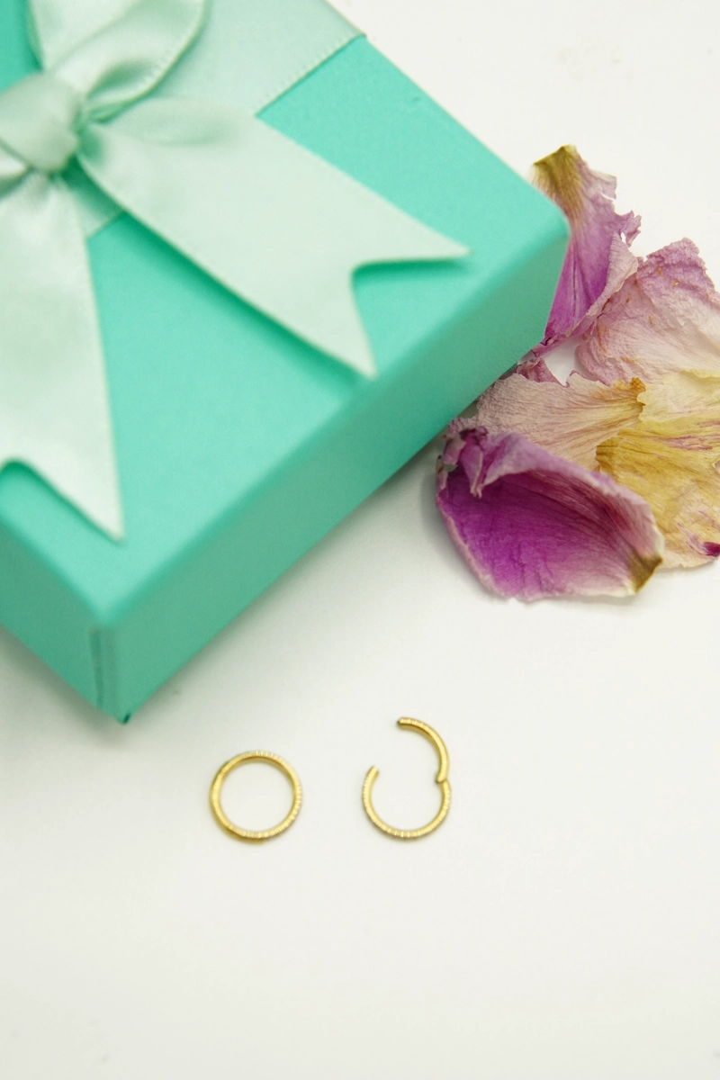 ARGOLLAS EL BAÚL DE JUMA HUGGIES 8MM 16G TITANIO F136 ZIRCONIA CHAPADA ORO - 4