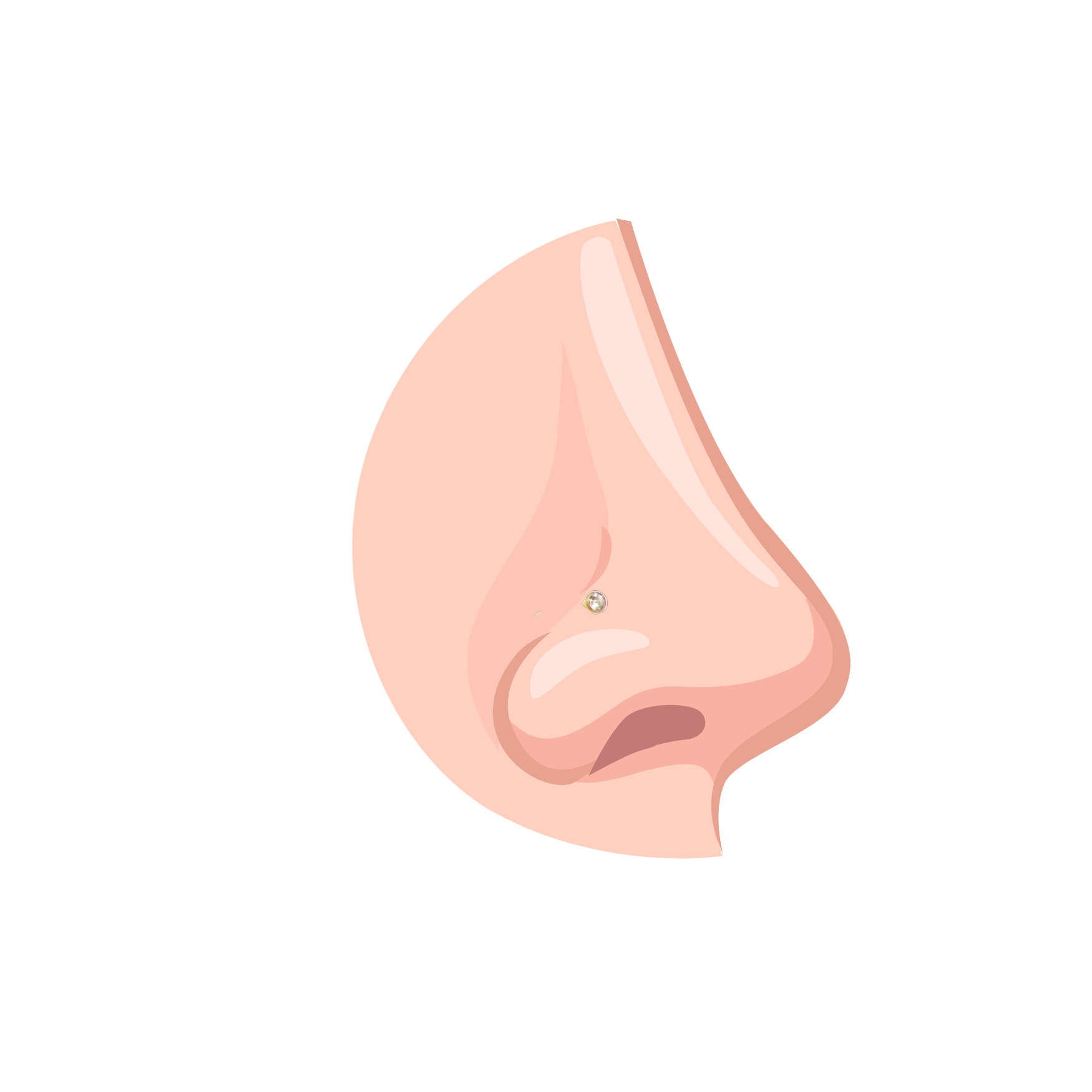 PIERCING EL BAÚL DE JUMA PUNTO DE LUZ FACIAL OREJA BOCA TITANIO ASTM F136 G23 DORADO - 2