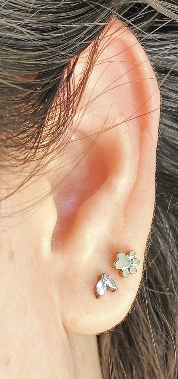 PIERCING EL BAÚL DE JUMA LABRET F136 G23 TITANIO HUELLA PERRO GATO - 4