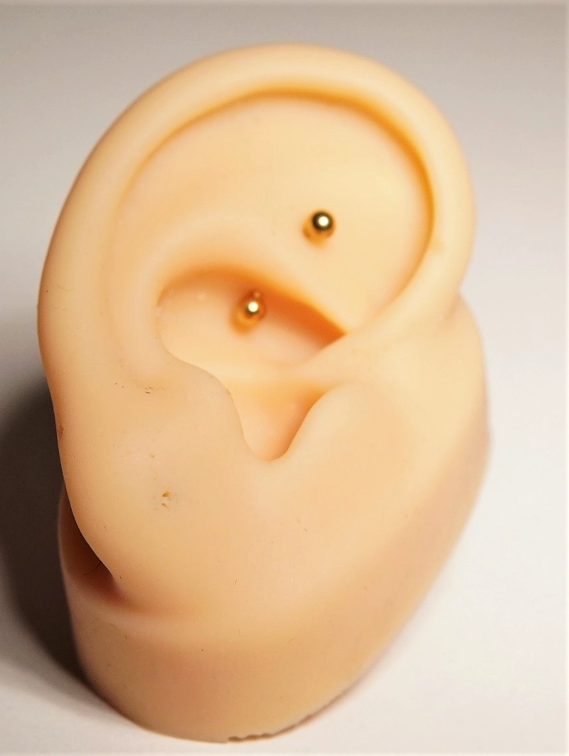 PIERCING ROOK SIENNA TITANIO 16G BARRA CURVA 8 MM - 3
