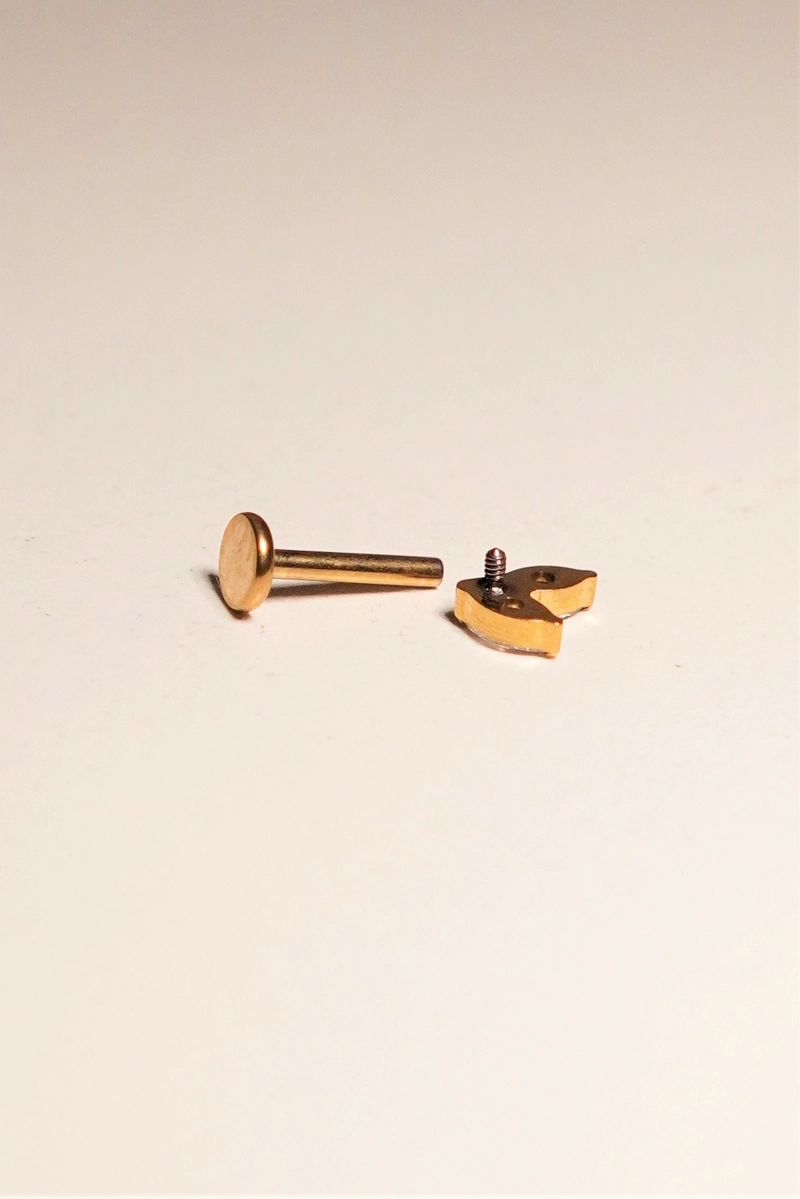 PIERCING ALBA LABRET 16G BARRA 8MM TITANIO PVD EN ORO 18K - 3
