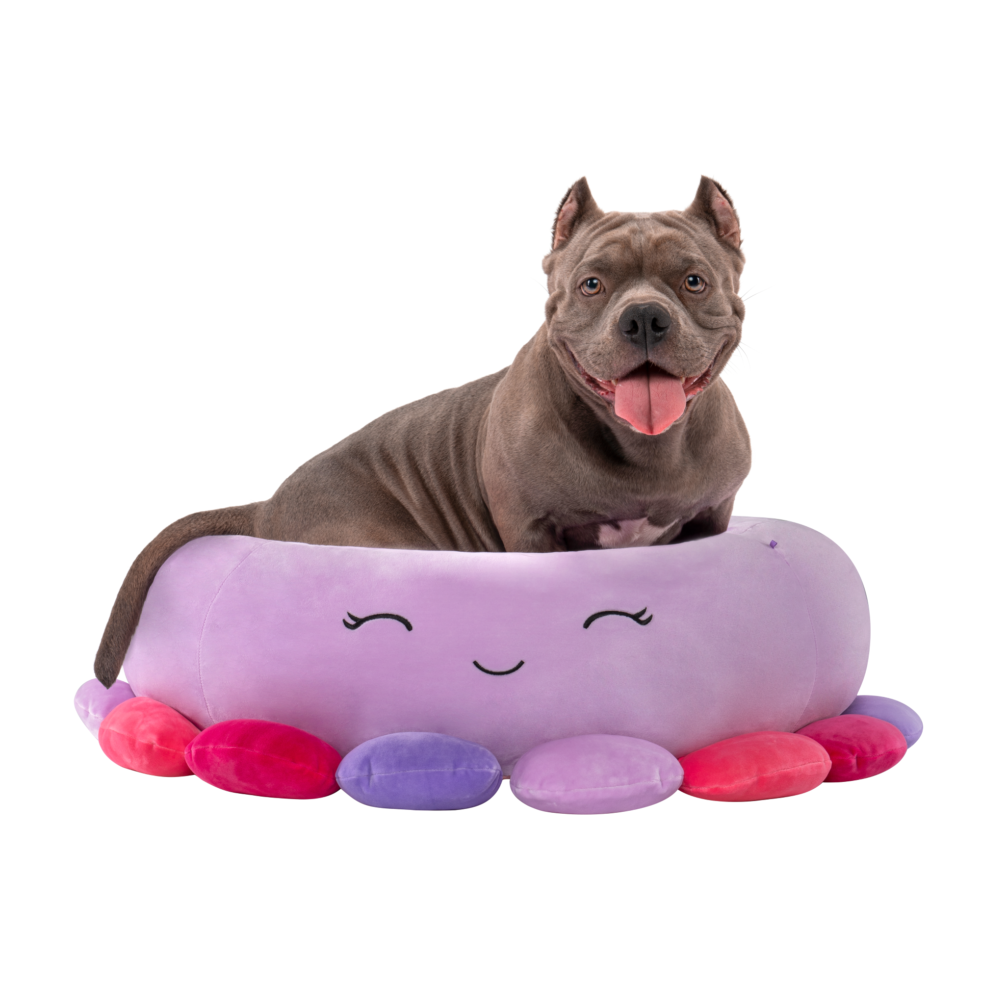 CAMA FUCSIA GRANDE PARA PERRO 76 CM. SQUISHMALLOWS - 1