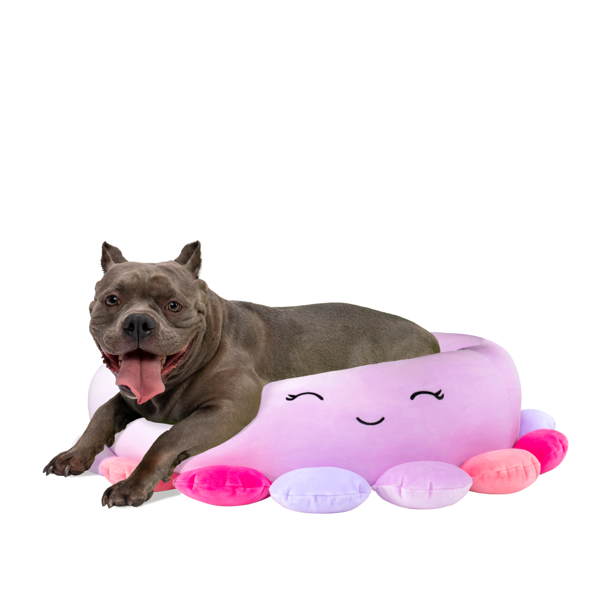 CAMA FUCSIA GRANDE PARA PERRO 76 CM. SQUISHMALLOWS - 2