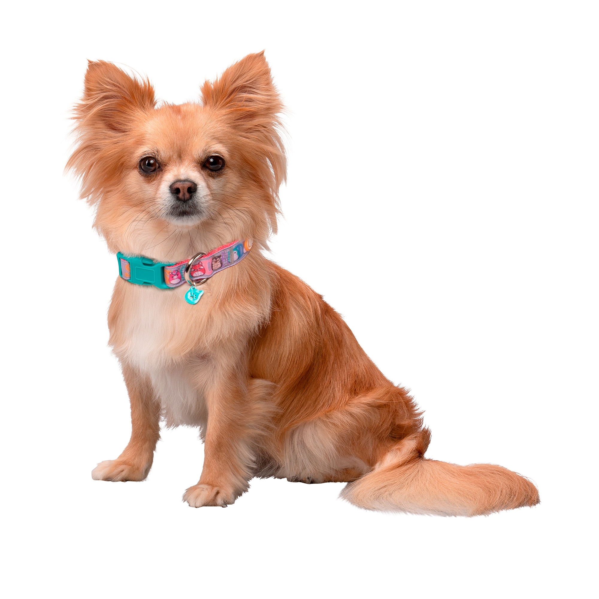COLLAR PERROS SQUISHMALLOWS TALLA S - 3
