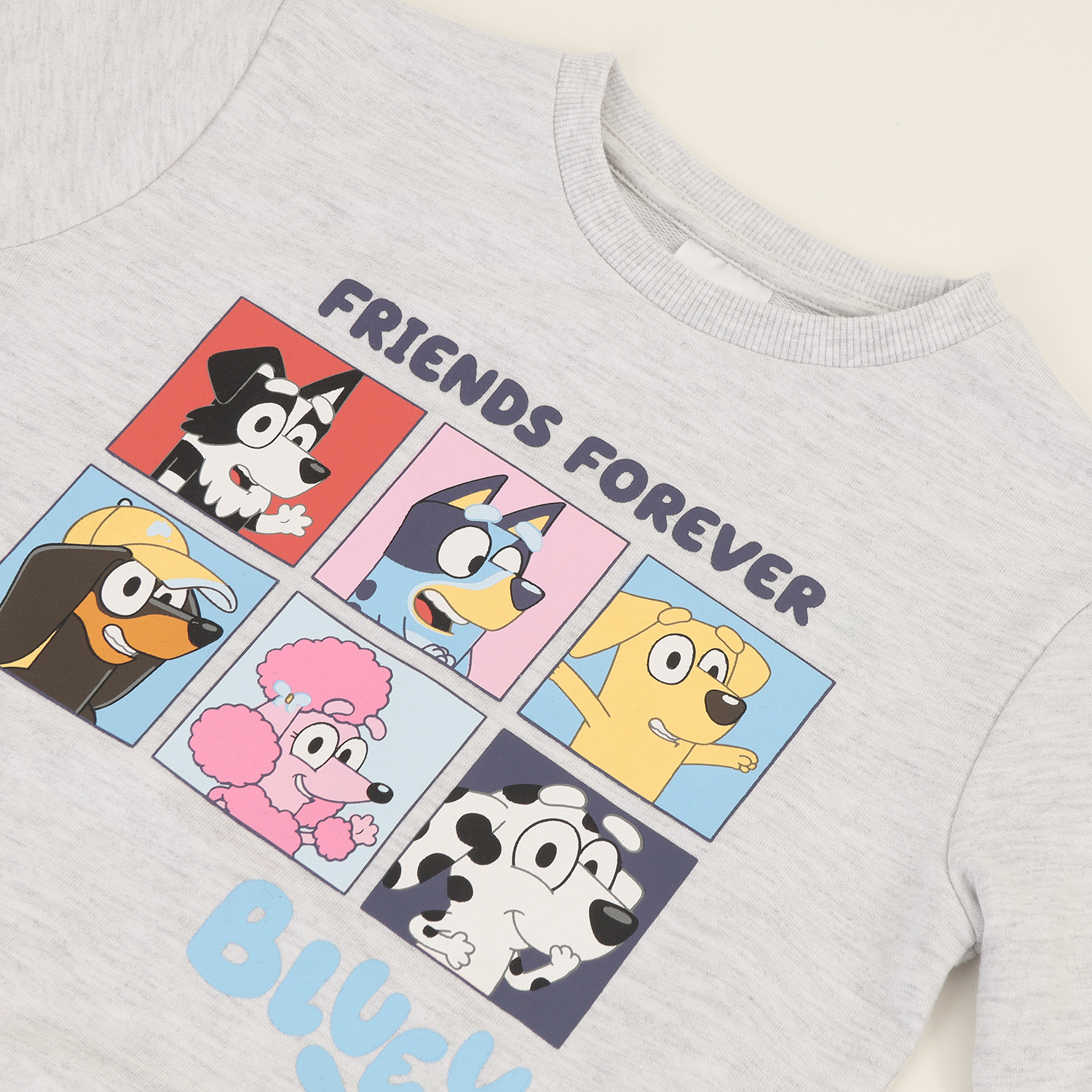 CONJUNTO BUZO NIÑO GRIS BLUEY Y SUS AMIGOS - 2