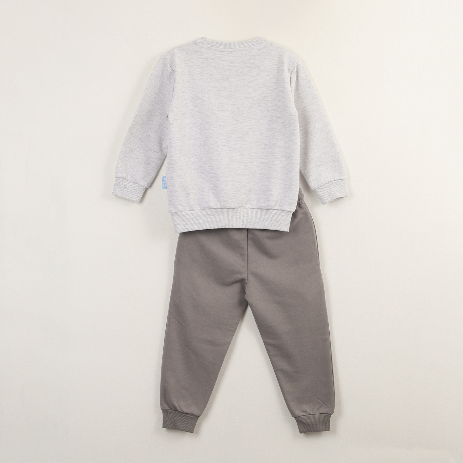 CONJUNTO BUZO NIÑO GRIS BLUEY Y SUS AMIGOS - 4