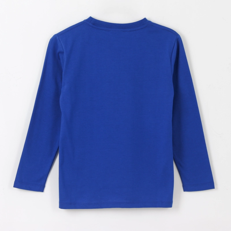 POLERA MANGA LARGA NIÑO PERSONAJE AZUL SONIC - 2