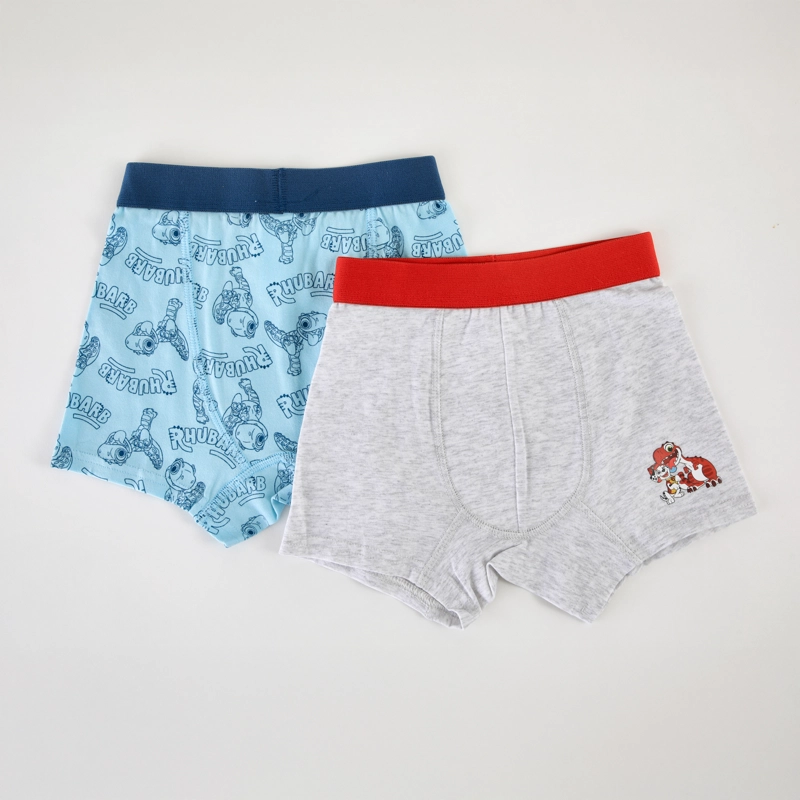BOXER 2P NINO PAW PATROL ESTAMPADO CELESTE 2 Gris