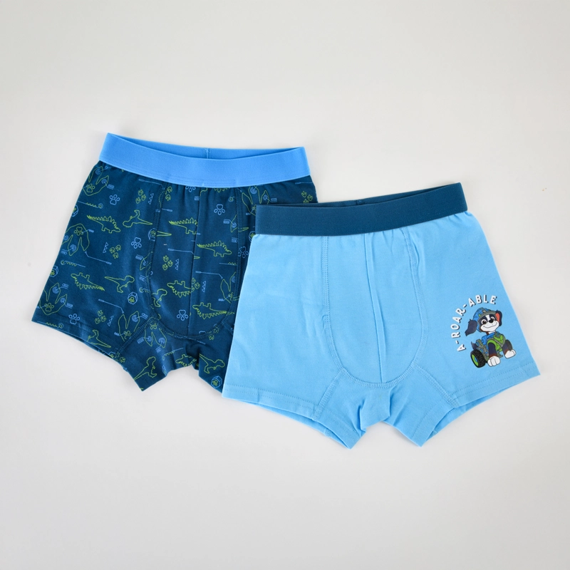 BOXER 2P NIÑO PAW PATROL A-ROAR-ABLE CELESTE - 1
