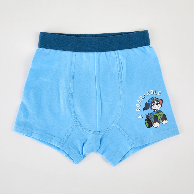 BOXER 2P NIÑO PAW PATROL A-ROAR-ABLE CELESTE - 2