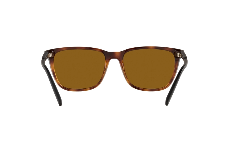 LENTES SOL ARNETTE HAVANA POLARIZADOS SUSTENTABLE - 7