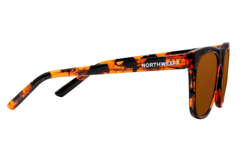 LENTES SOL NORTHWEEK MARRÓN HARVEY - 3
