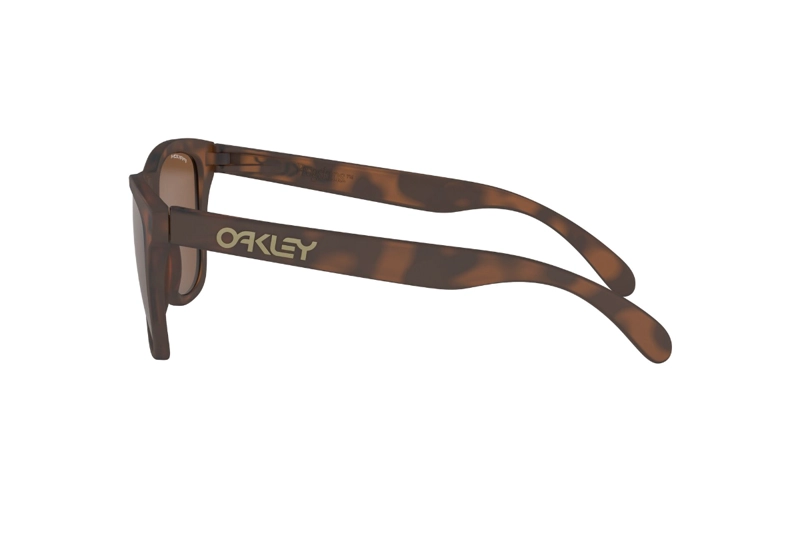 LENTES SOL OAKLEY FROGSKINS PRIZM TUNGSTEN - 4