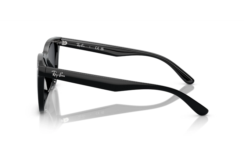 LENTES SOL RAY-BAN NEGRO - 3