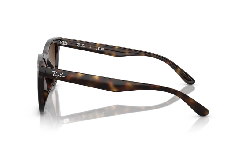 LENTES SOL RAY-BAN HAVANA - 3