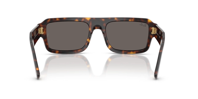 LENTES DE SOL LUKAS HAVANA RAY-BAN - 4