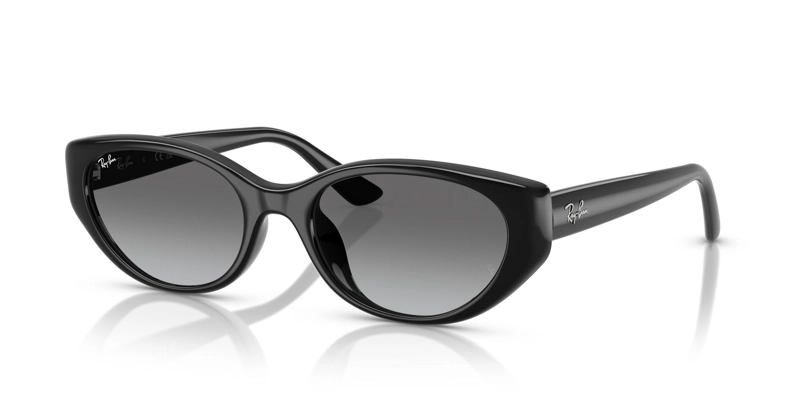 LENTES DE SOL NEGRO DEGRADADOS RAY-BAN - 2
