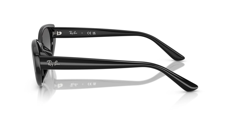 LENTES DE SOL NEGRO DEGRADADOS RAY-BAN - 3