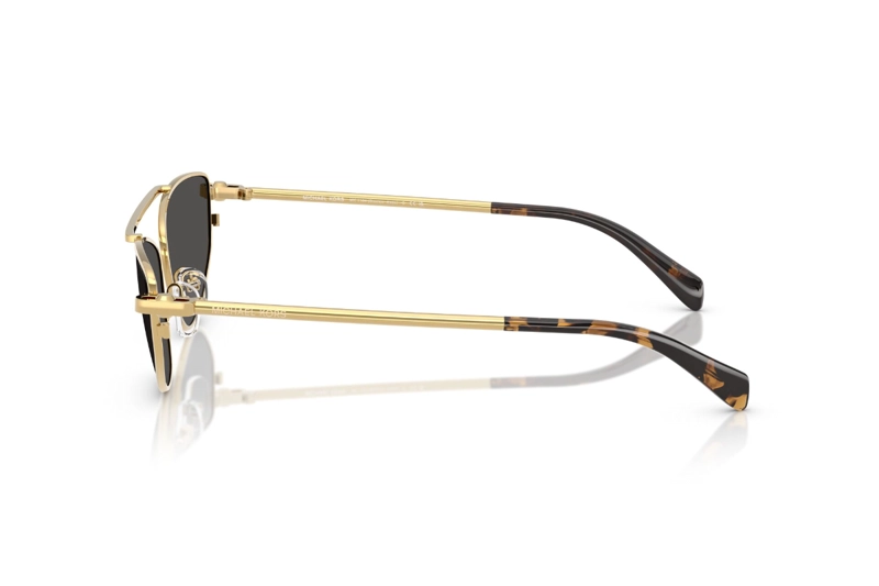 LENTES DE SOL BUENOS AIRES DORADO MICHAEL KORS - 3