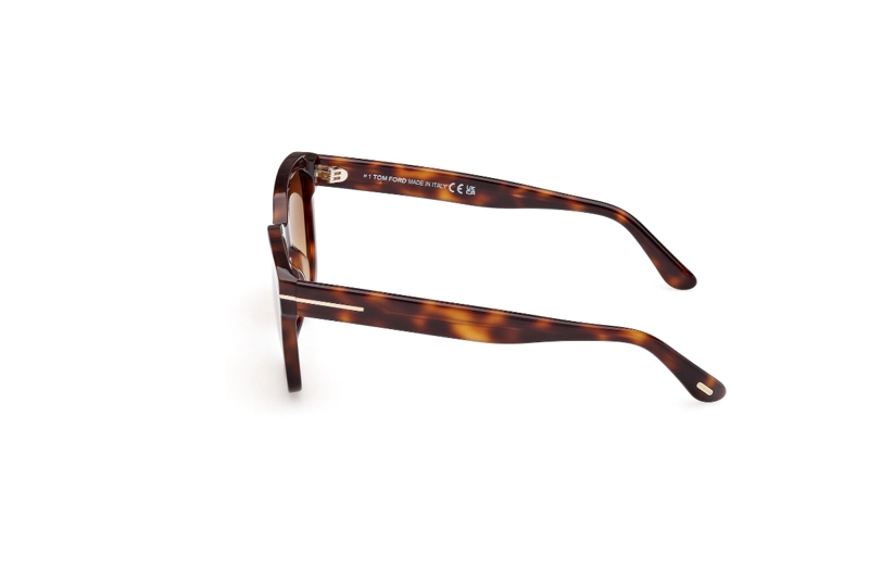 LENTES DE SOL HAYLAY HAVANA DEGRADADOS TOM FORD - 3