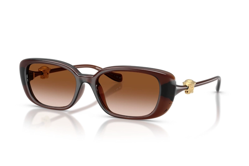 LENTES DE SOL MEDUSA MARRON DEGRADADOS VERSACE - 1