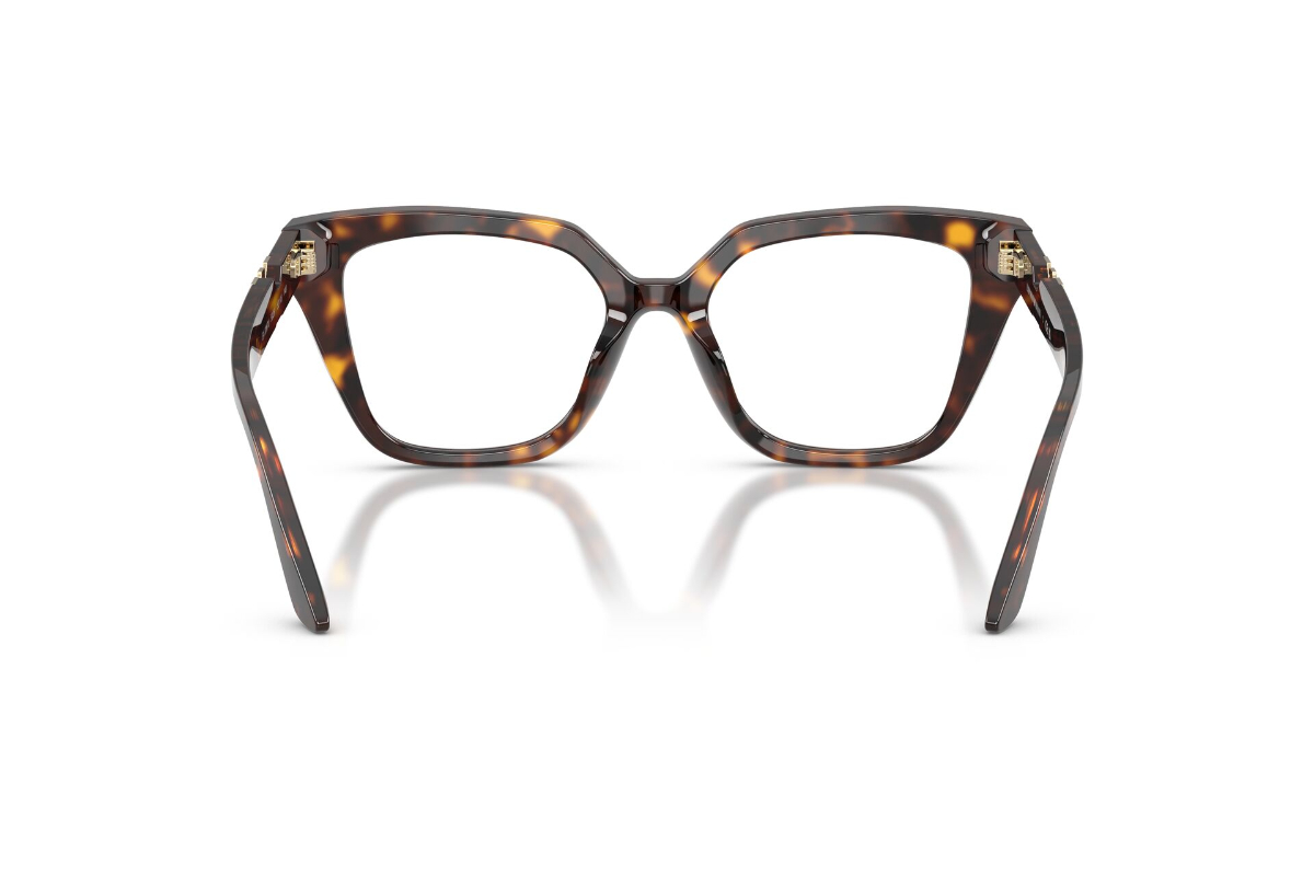 LENTES OPTICOS HAVANA EMPORIO ARMANI - 4