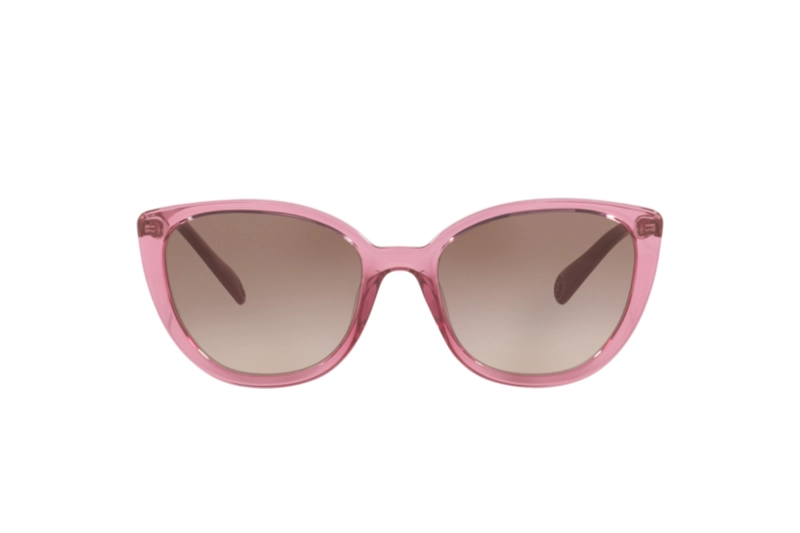 LENTES DE SOL ROSADO DEGRADADOS KIPLING - 1