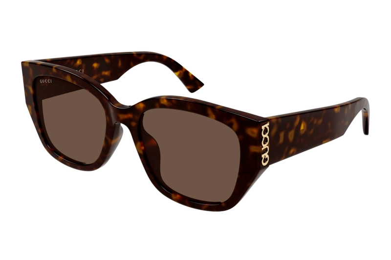 LENTES DE SOL HAVANA GUCCI - 1