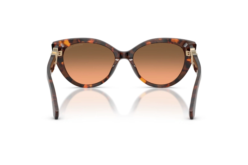 LENTES DE SOL CATALINA HAVANA DEGRADADOS MICHAEL KORS - 4