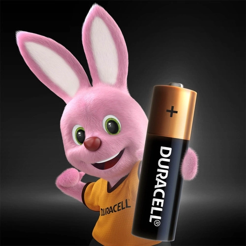 PILA ALCALINA DURACELL AA X24 - 5