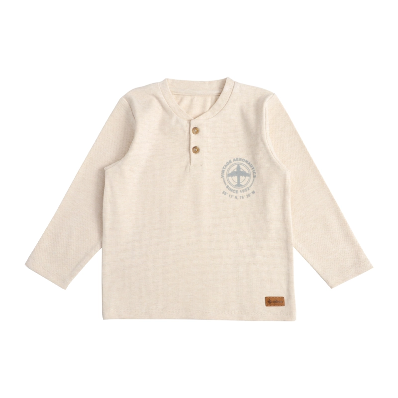 POLERA MANGA LARGA AFRANELADA BEBE  NIÑO AVION - 2