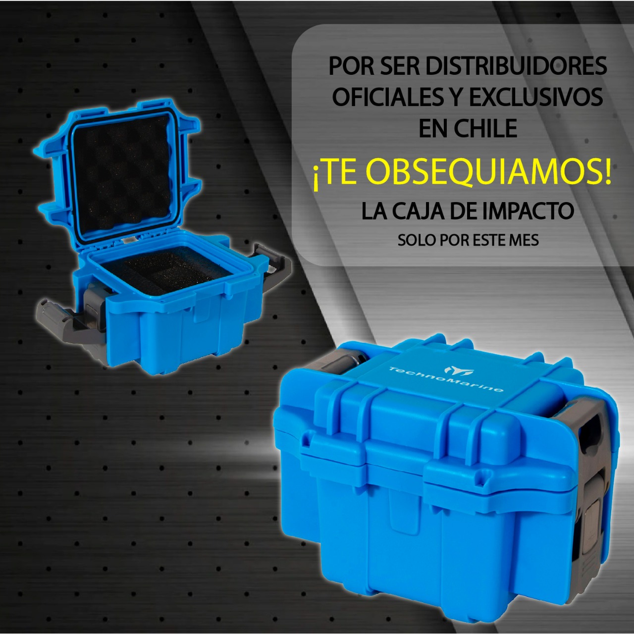RELOJ TECHNOMARINE TM-221047 - 2