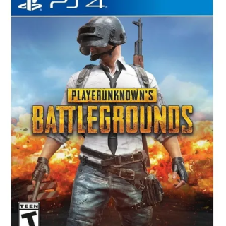 PLAYER UNKNOWN''S BATTLEGROUND - JUEGO FÍSICO PS4 - 1
