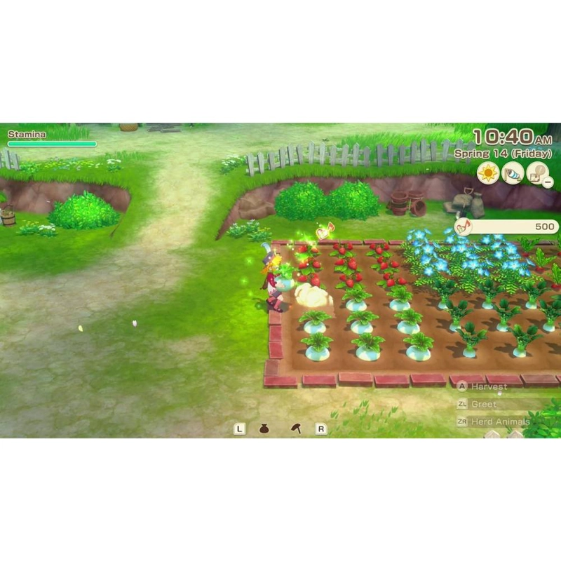 STORY OF SEASONS GRAND BAZAAR SWITCH 2 - SNIPERCL - 2