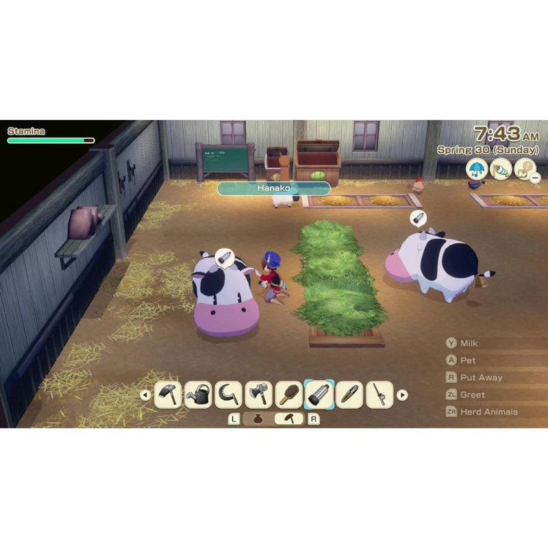 STORY OF SEASONS GRAND BAZAAR SWITCH 2 - SNIPERCL - 5