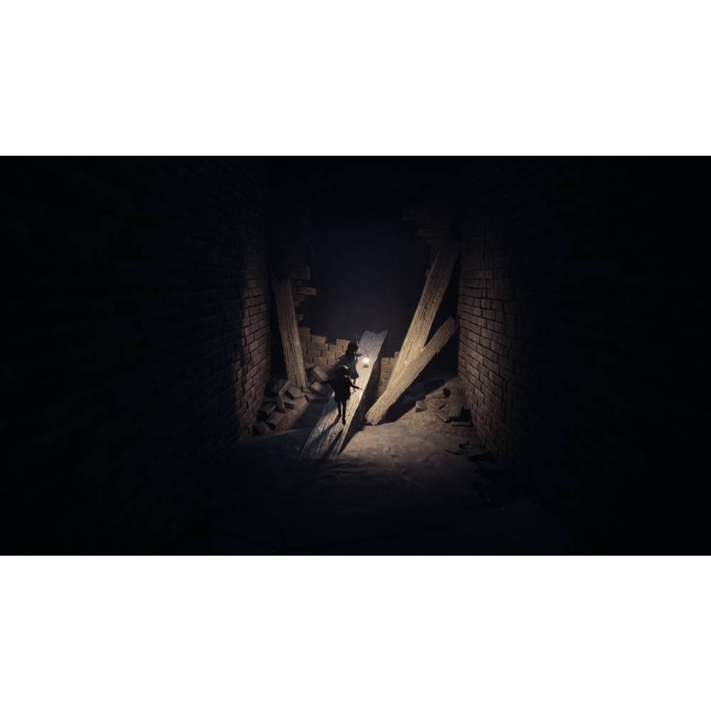 REANIMAL -EU- PS5 - 2