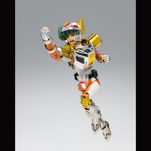 SAINT CLOTH MYTH STEEL SAINT LANDCLOTH DAICHI REVIVAL - 6