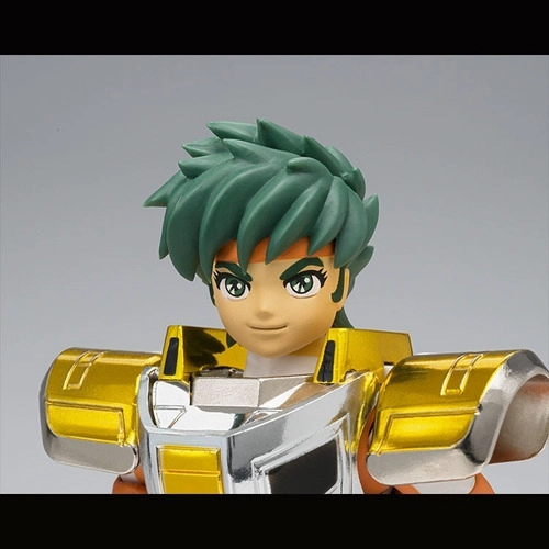SAINT CLOTH MYTH STEEL SAINT LANDCLOTH DAICHI REVIVAL - 7