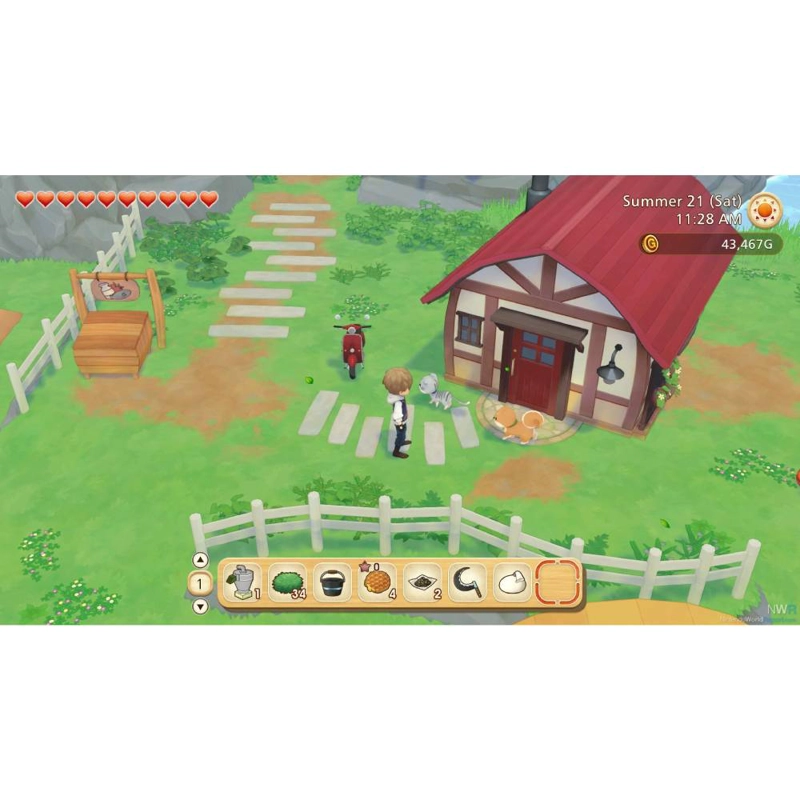STORY OF SEASONS PIONEERS OF OLIVE TOWN - SWITCH - SNIPER - 5