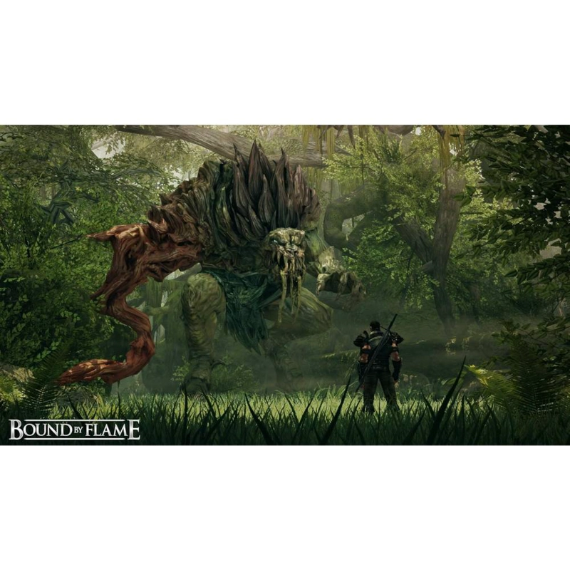 BOUND BY FLAME - PS4 - JEUGO FISICO - SNIPER GAMES - 4