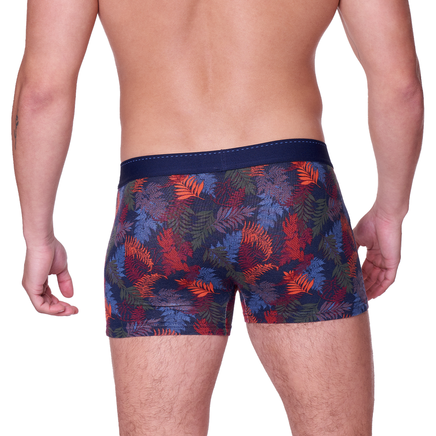 BÓXER HOMBRE BAZIANI ALGODÓN 5638 - 3