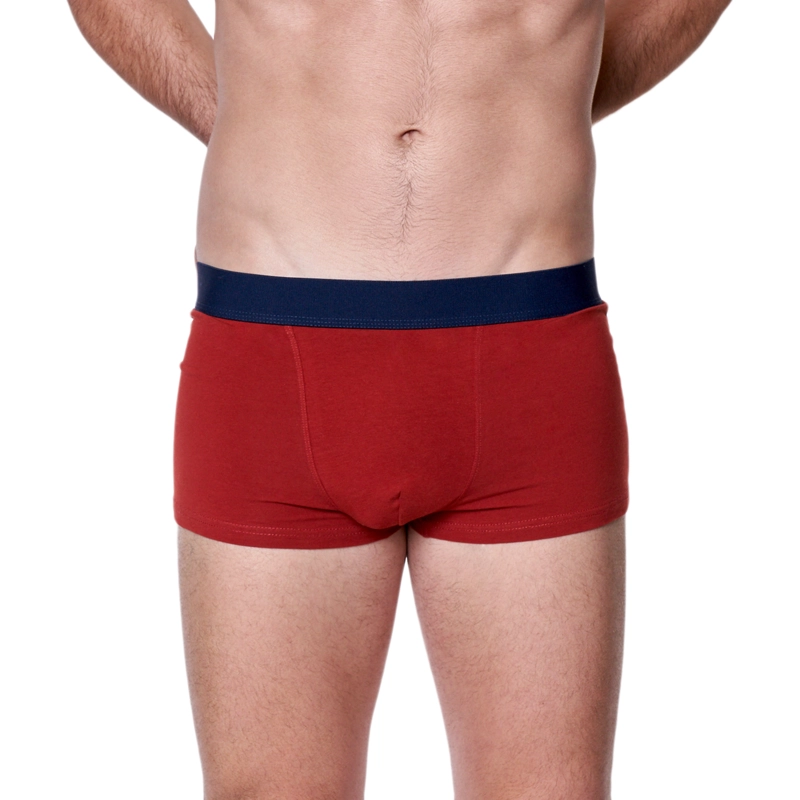 PACK3 BOXER HOMBRE BAZIANI ALGODÓN LYCRA 5428 - 5